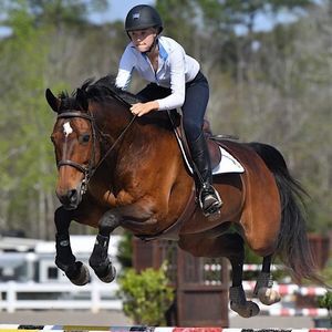 Meet your Posher, Ellen